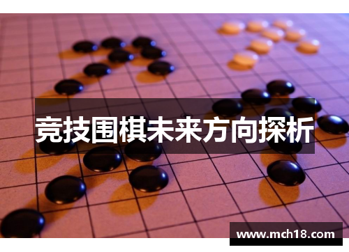 竞技围棋未来方向探析